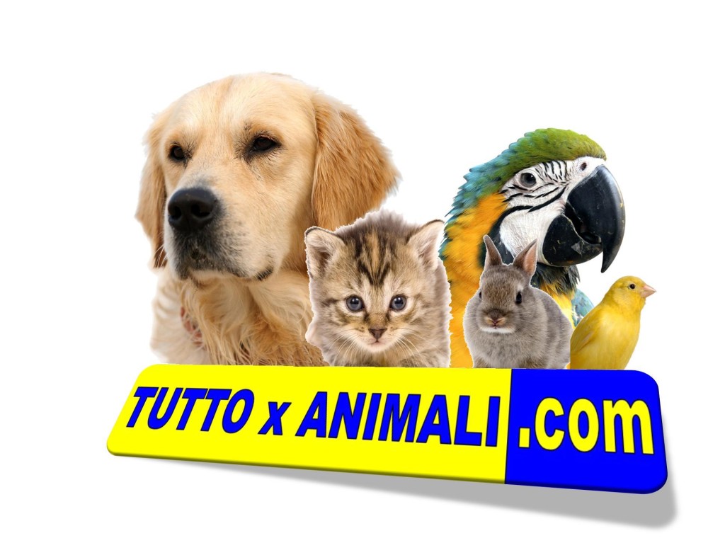 TUTTO X ANIMALI